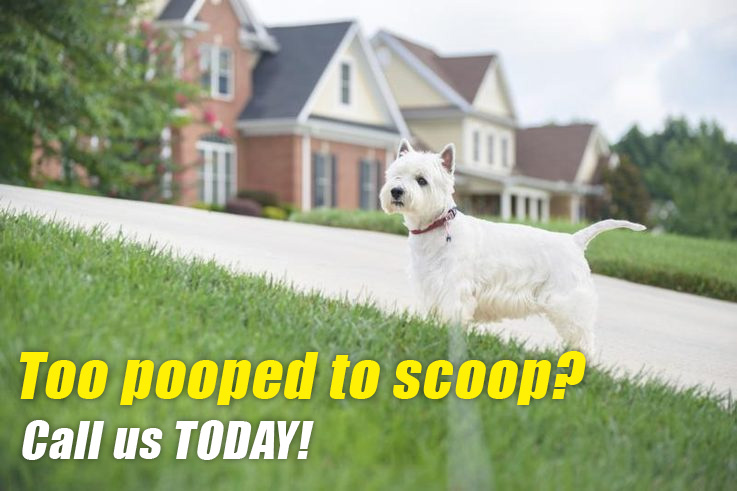 pooper scooper | pet waste disposal service | lewisville